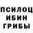 Псилоцибиновые грибы Cubensis Kuntal Bhattacharya