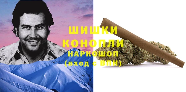 трава Верея