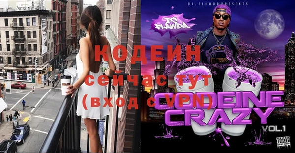 мдпв Верхний Тагил