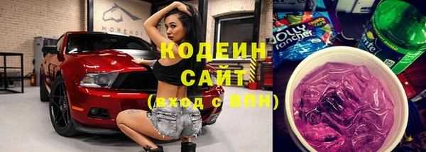 мдпв Верхний Тагил