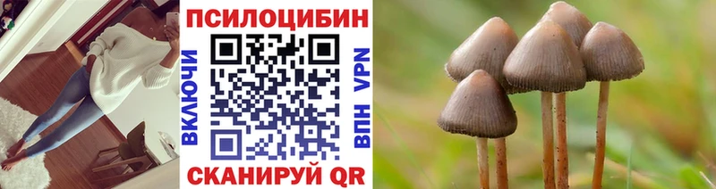 Купить где  Павлово  Галлюциногенные грибы мицелий 
